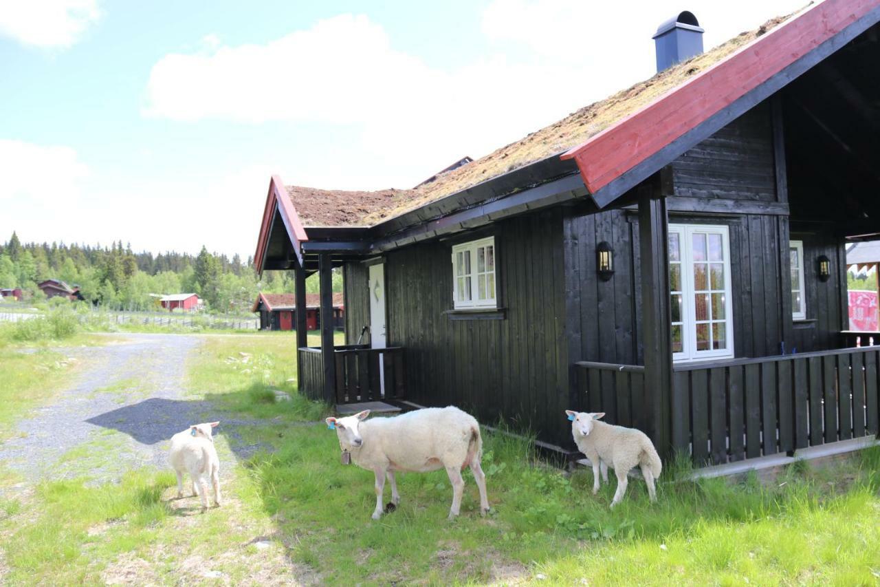 Gamlestolen Fjellstue Villa Etnedal Buitenkant foto